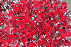 广东金达开展三八节”只为她献花... 广东金达开展三八节”只为她献花...